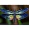 Sparkly Selections Dragonfly Diamond Painting Kit, Square Diamonds